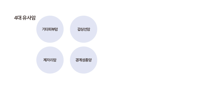 4대 유사암 기타피부암 갑상선암 제자리암 경계성종양