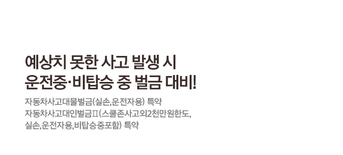 예상치 못한 사고 발생 시 운전중·비탑승 중 벌금 대비! 자동차사고대물벌금(실손,운전자용) 특약 자동차사고대인벌금Ⅱ(스쿨존사고외2천만원한도,실손,운전자용,비탑승중포함) 특약