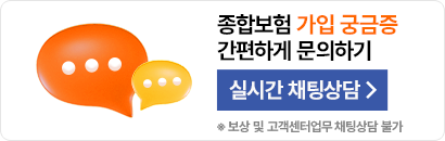 어디서든 채팅으로 문의하세요!
                                    카카오톡 채팅상담
                                    *보험가입 상담시간: 평일9시~18시
                                    *보상 및 고객센터 관련 업무 안내 제외