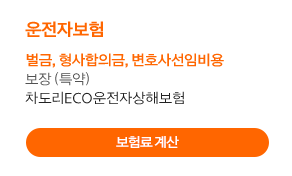 운전자보험 벌금, 형사합의금, 변호사선임비용 보장(특약) 차도리CEO운전자상해보험