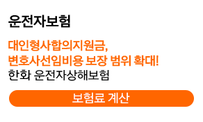 종합보험 - 뇌혈관질환, 허혈성심장질환 진단비 든든 보장(특약, 각 최초1회한) 한아름보장가득종합보험