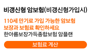 비갱신형 암보험(비갱신형가입시) - 110세 만기로 가입 가능한 암보험 보장과 보험료 확인하세요 한아름보장가득종합보험 암플랜